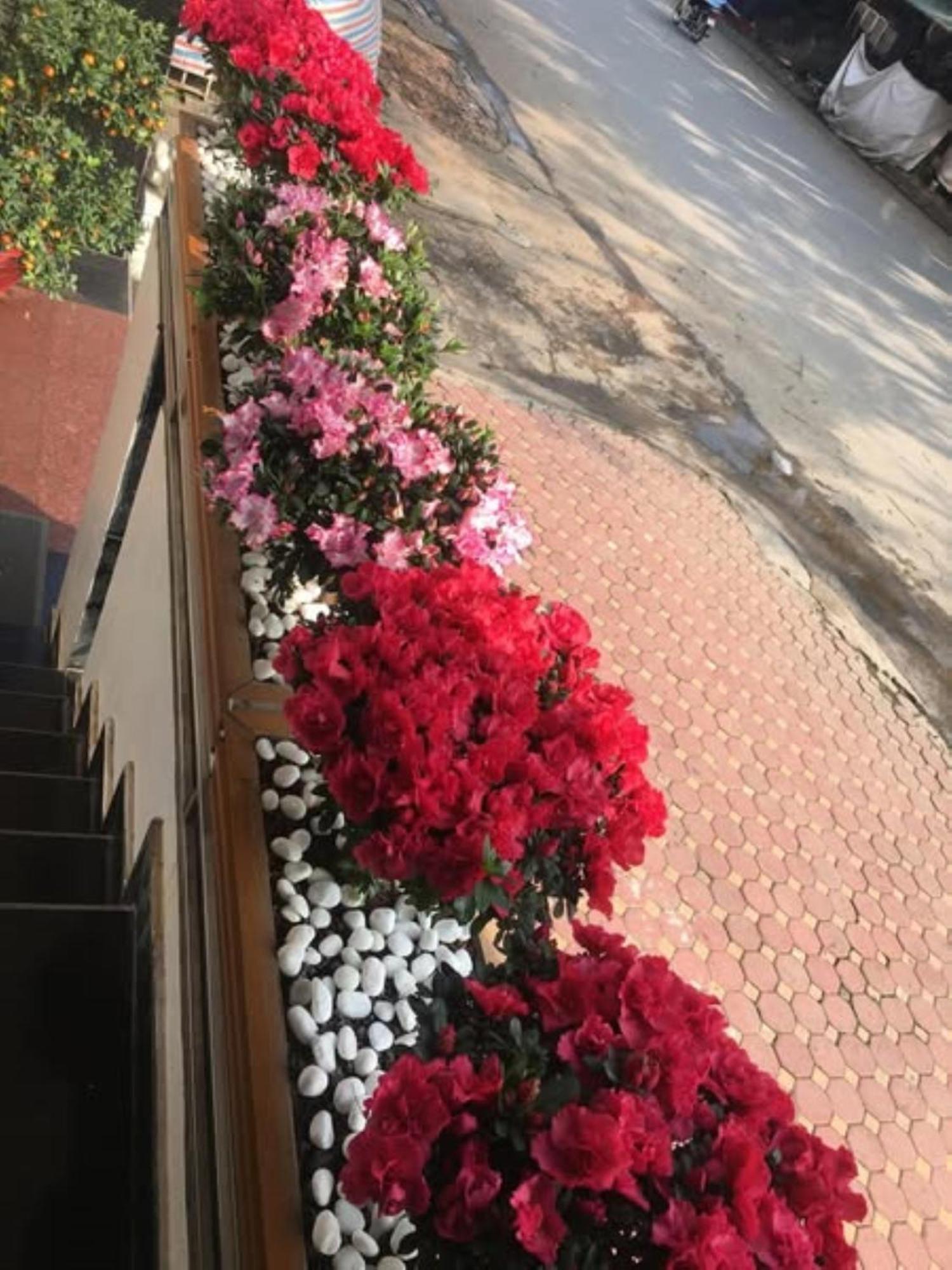 Hoa Viet Hotel Cao Bang Ngoại thất bức ảnh